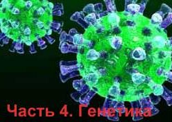 Доктор Шапкин о коронавирусе. Популяционная генетика. Часть четвертая.