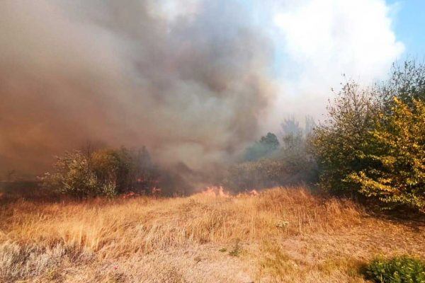 Удар по «зелёнке» ВСУ: массовые пожары в Харьковской области